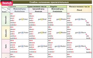 Склонение прилагательных в немецком языке – Deklination der Adjektive
